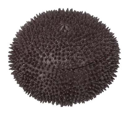 Megahouse Sea Urchin Kaitai Puzzle Series Buy Self-Assembly Food Puzzle Made In Japan- Japan Figure Store - #1 Bring To You The Best Japanese Goods