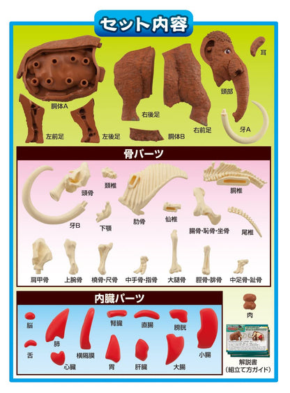 Megahouse Mammoth Kaitai Puzzle Series Buy Japanese Self-Assembly Animal Puzzle- Japan Figure Store - #1 Bring To You The Best Japanese Goods