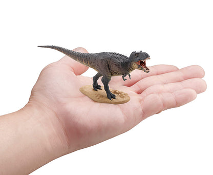 F-Toys Dinosaur Master Vol.3 10Pcs Box- Japan Figure Store - #1 Bring To You The Best Japanese Goods
