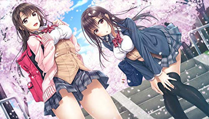 Entergram Ai Kiss Playstation 4 Ps4 - New Japan Figure 4935066603024 2