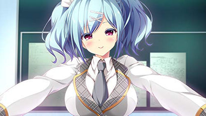 Entergram E School Life Nintendo Switch - New Japan Figure 4935066602898 4