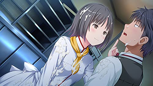 Entergram Parfait Remake For Nintendo Switch - New Japan Figure 4935066604144 2