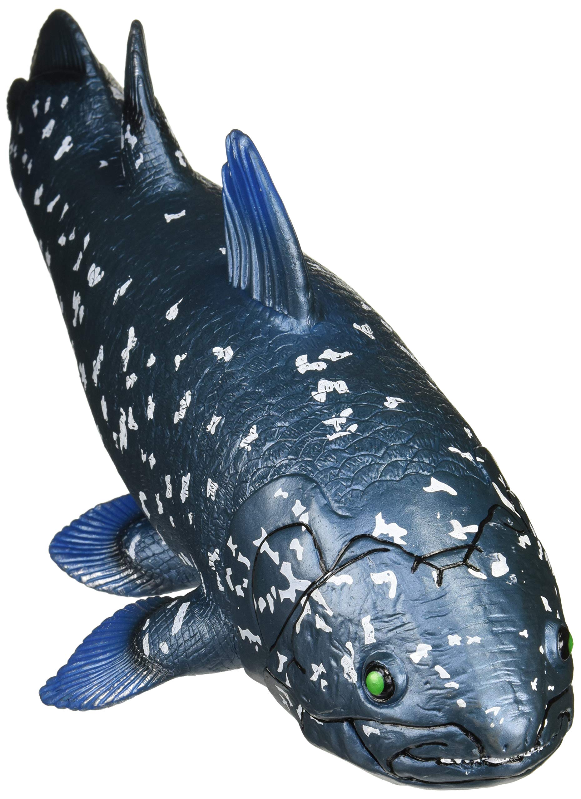 Favorite Coelacanth FF-301 Vinyl Model- Japan Figure Store - #1 Bring To You The Best Japanese Goods
