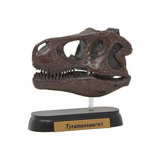 Favorite Dinosaur Skull 12 Set Mini Model Figure Designed By Hirokazu Tokugawa - Japan Figure