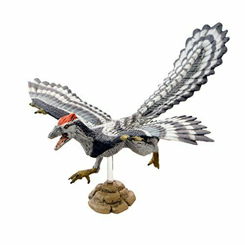 Favorite Dinosaur Soft Model Series Figure Archaeopteryx Fdw-015 - Japan Figure