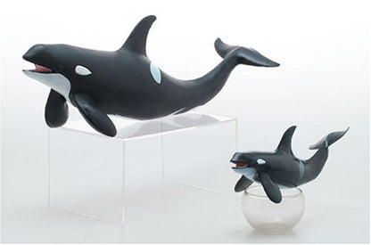 FM-301 Favorite Killer Whale- Japan Figure Store - #1 Bring To You The Best Japanese Goods