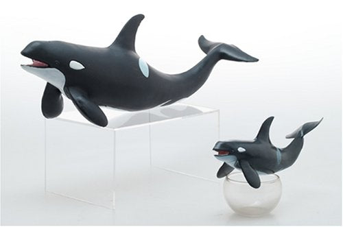FM-301 Favorite Killer Whale- Japan Figure Store - #1 Bring To You The Best Japanese Goods