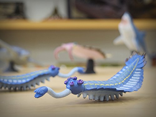 Favorite Opabinia L16.8xW5.4xH4cm FP-008- Japan Figure Store - #1 Bring To You The Best Japanese Goods