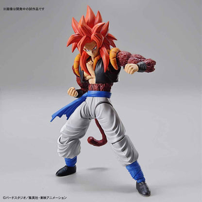 Bandai Spirits Figure Rise Standard Dragon Ball Super Saiyan 4 Gogeta Japan Plastic Action Model- Japan Figure Store - #1 Bring To You The Best Japanese Goods