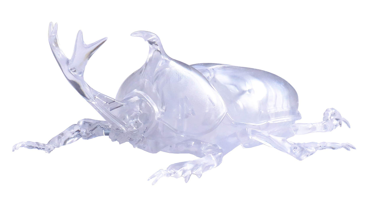 Fujimi Model Free Study Series No.21 Ex-1 Living Things Beetle (Clear) Free Study-21 Ex-1- Japan Figure Store - #1 Bring To You The Best Japanese Goods