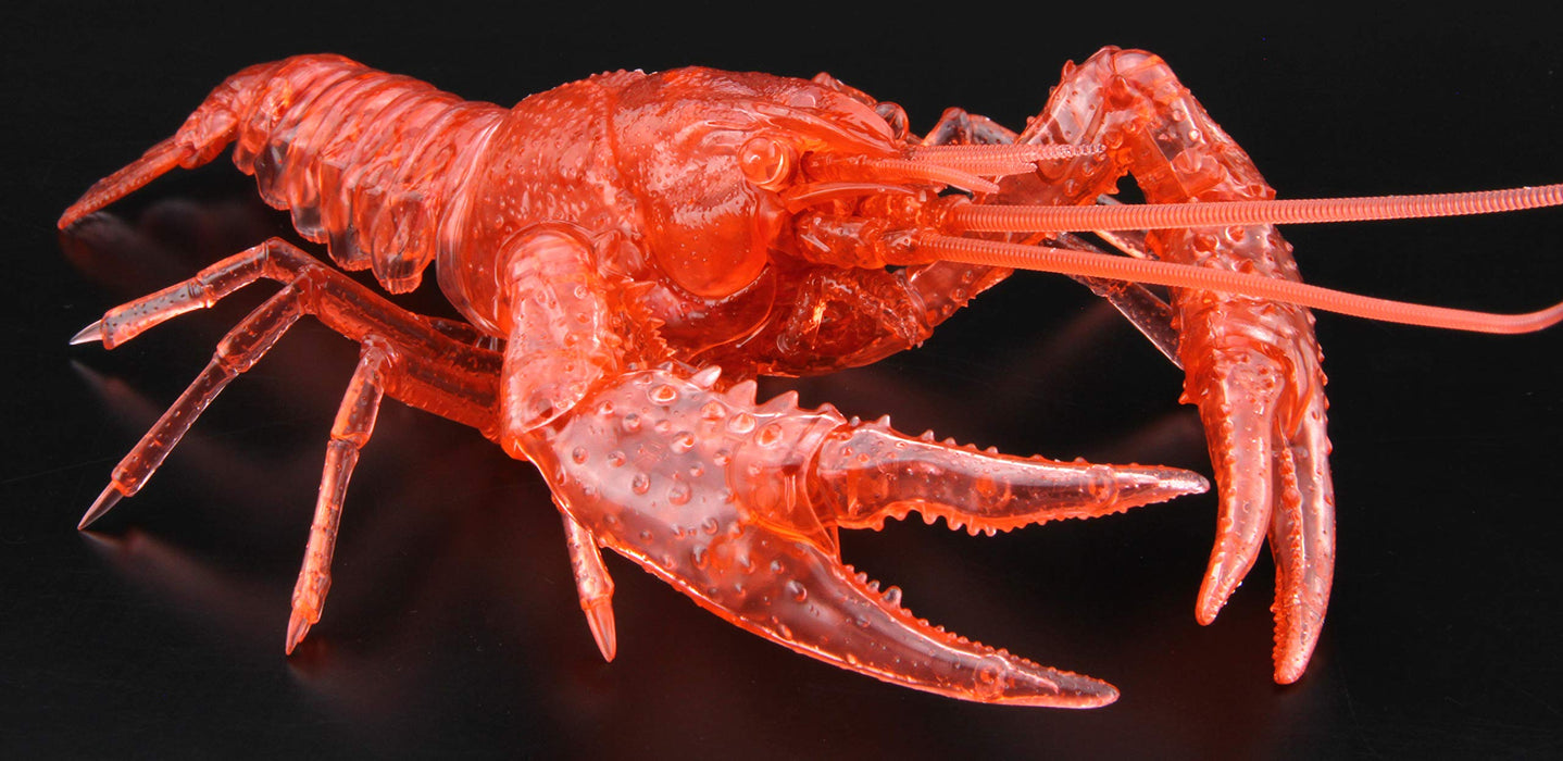 FUJIMI Research Series Procambarus Clarkii / Louisiana Crawfish Special Version Clear Red Plastic Model- Japan Figure Store - #1 Bring To You The Best Japanese Goods