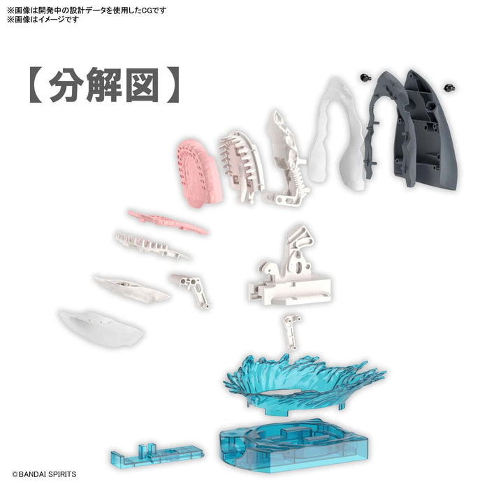BANDAI Exploring Lab Nature Great White Shark Plastic Model- Japan Figure Store - #1 Bring To You The Best Japanese Goods