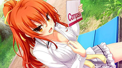 Harukaze Nora Princess And Stray Cat Ps Vita Sony Playstation New