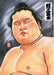 Hobby Japan Sumo Illustrator Kototsurugi Grand Sumo Art Book- Japan Figure Store - #1 Bring To You The Best Japanese Goods