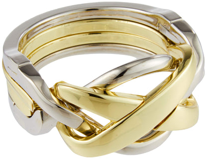 Hanayama Huzzle Cast Ring [Difficulty Level 4]- Japan Figure Store - #1 Bring To You The Best Japanese Goods