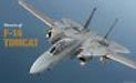 Ikaros Military Aircraft Of The World Special Edition F-14 Tomcat Book- Japan Figure Store - #1 Bring To You The Best Japanese Goods