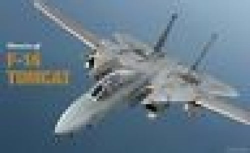 Ikaros Military Aircraft Of The World Special Edition F-14 Tomcat Book- Japan Figure Store - #1 Bring To You The Best Japanese Goods