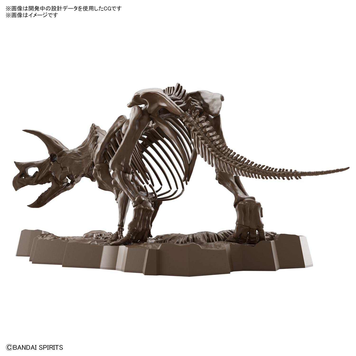 Bandai Spirits Japan 1/32 Scale Imaginary Skeleton Triceratops Plastic Model- Japan Figure Store - #1 Bring To You The Best Japanese Goods