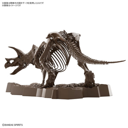 Bandai Spirits Japan 1/32 Scale Imaginary Skeleton Triceratops Plastic Model- Japan Figure Store - #1 Bring To You The Best Japanese Goods