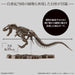 BANDAI Imaginary Skeleton 1/32 Tyrannosaurus Plastic Model- Japan Figure Store - #1 Bring To You The Best Japanese Goods