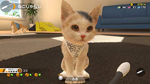 Imagineer Little Friends Dogs & Cats Nintendo Switch - New Japan Figure 4965857102047 6