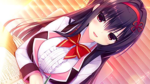 Imel Hamidashi Creative (Standard Edition) [Nintendo Switch] - New Japan Figure 4560431864788 5