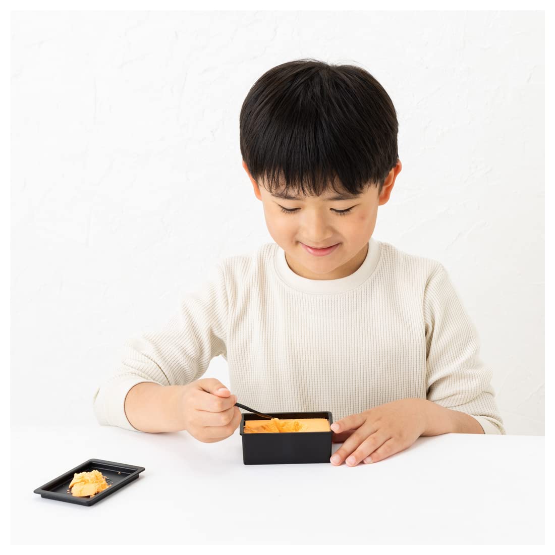 Takaratomy Arts Jurassic World: Dinosaurs Discovery Set- Japan Figure Store - #1 Bring To You The Best Japanese Goods