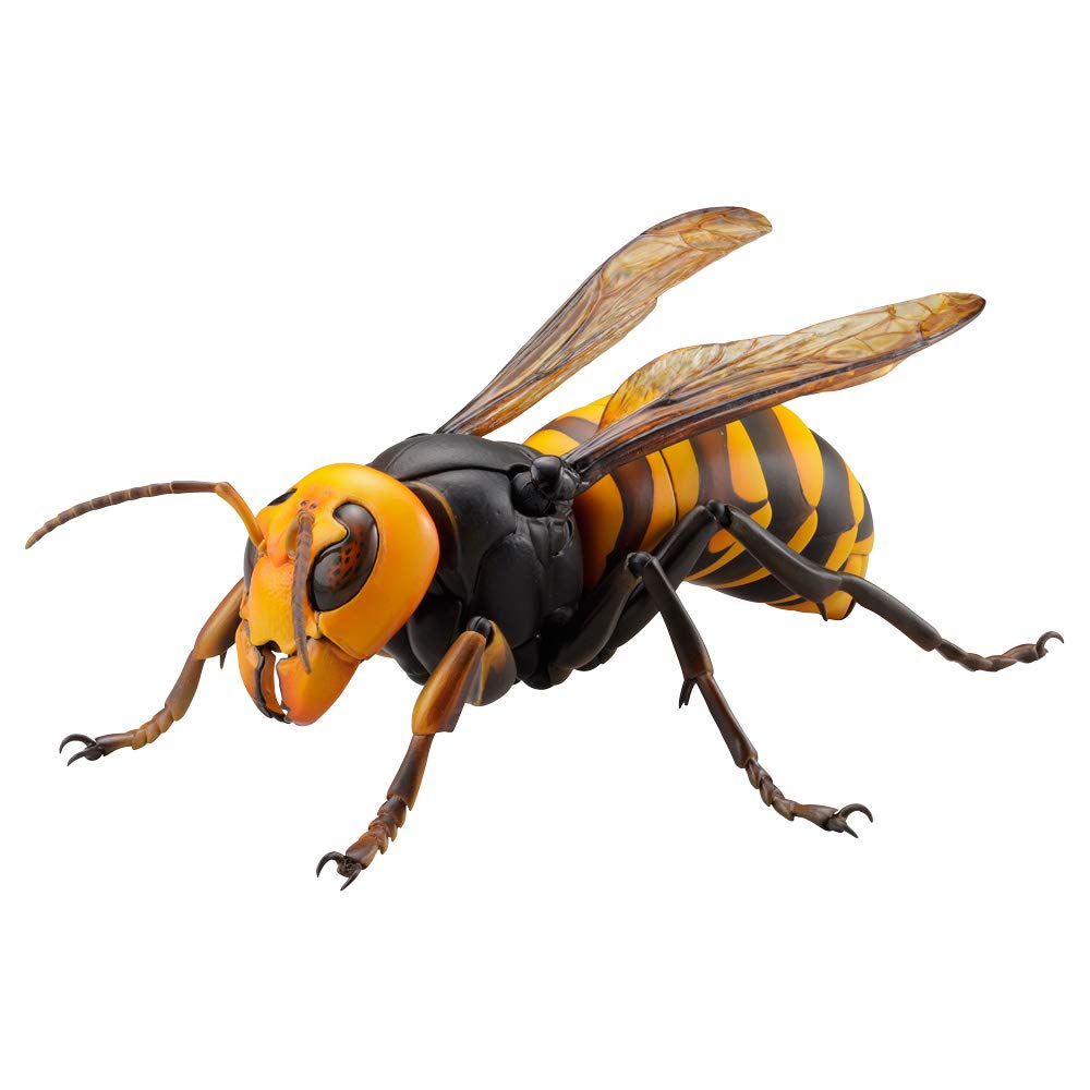 KAIYODO Revogeo Japanese Giant Hornet Figure- Japan Figure Store - #1 Bring To You The Best Japanese Goods