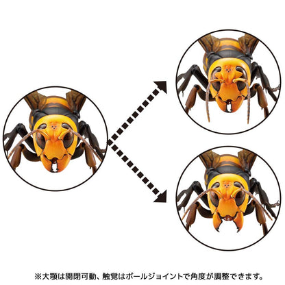 KAIYODO Revogeo Japanese Giant Hornet Figure- Japan Figure Store - #1 Bring To You The Best Japanese Goods