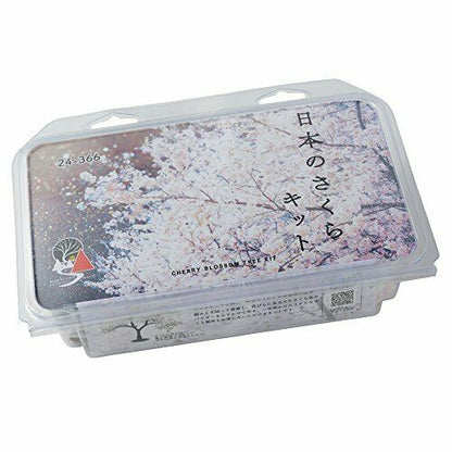 Kato Japanese Cherry Cherry Blossom Tree Kit 12 Pieces- Japan Figure Store - #1 Bring To You The Best Japanese Goods