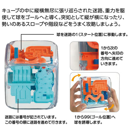 Hanayama Japan Katsunou Amaze Cube Puzzle- Japan Figure Store - #1 Bring To You The Best Japanese Goods