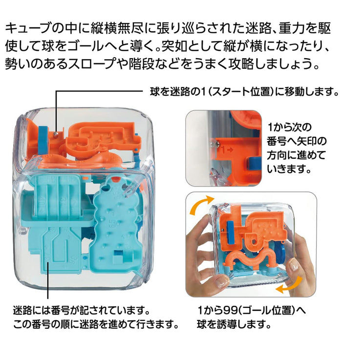 Hanayama Japan Katsunou Amaze Cube Puzzle- Japan Figure Store - #1 Bring To You The Best Japanese Goods