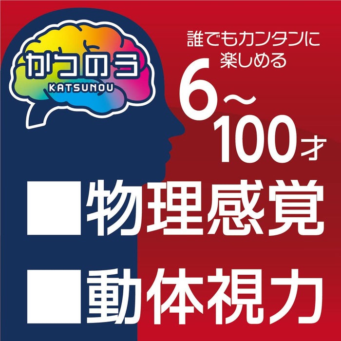 Hanayama Japan Katsunou Amaze Cube Puzzle- Japan Figure Store - #1 Bring To You The Best Japanese Goods