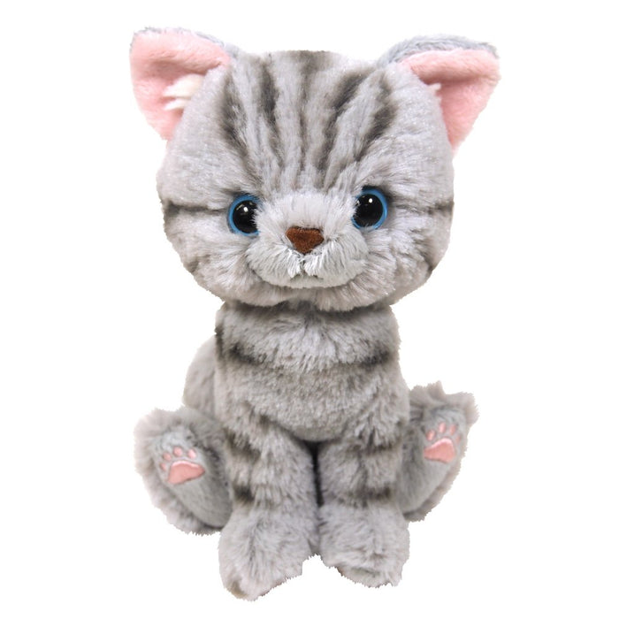 SUNLEMON Plush Doll Kitten American Shorthair Gray Size S Tjn- Japan Figure Store - #1 Bring To You The Best Japanese Goods