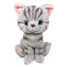 SUNLEMON Plush Doll Kitten American Shorthair Gray Size S Tjn- Japan Figure Store - #1 Bring To You The Best Japanese Goods