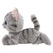 SUNLEMON Plush Doll Kitten American Shorthair Gray Size S Tjn- Japan Figure Store - #1 Bring To You The Best Japanese Goods