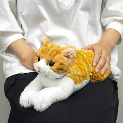 SUNLEMON - Plush Doll Hiza Neko Chashiro - White/Brown Cat Size S- Japan Figure Store - #1 Bring To You The Best Japanese Goods