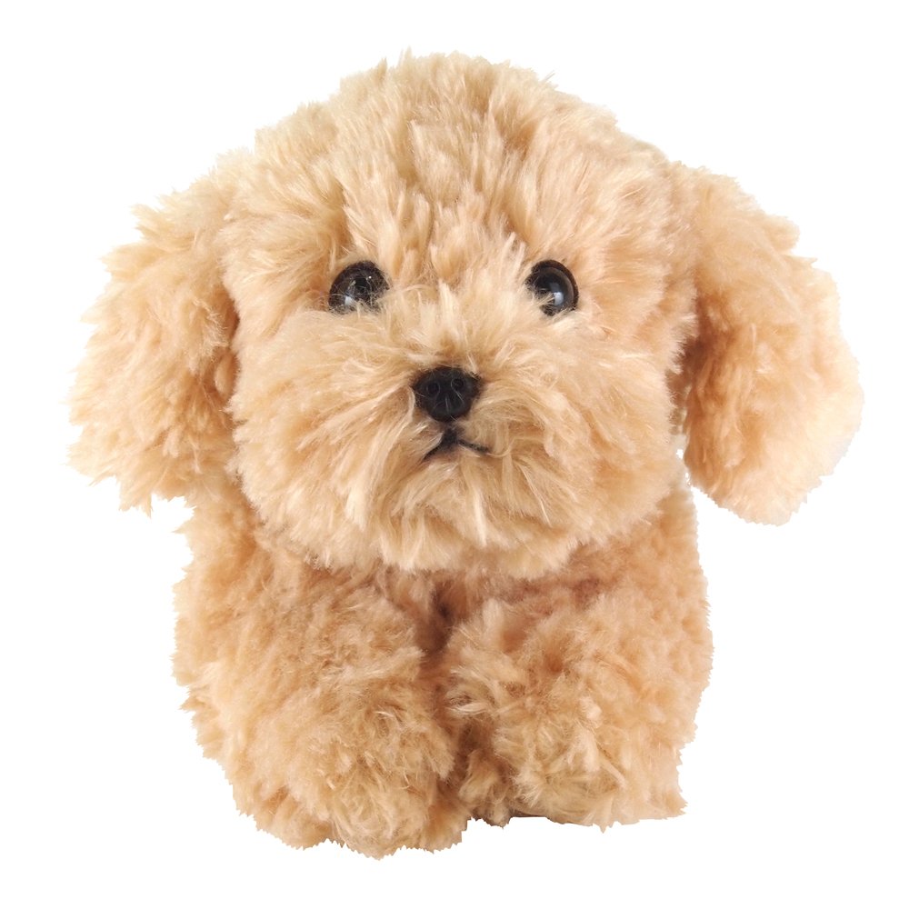 Sun Lemon Plush Doll Lap Dog Plush Hiza Wanko Toy Poodle Beige Tjn- Japan Figure Store - #1 Bring To You The Best Japanese Goods