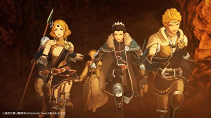 Koei Tecmo Fire Emblem Musou Nintendo Switch - Used Japan Figure 4988615096419 11