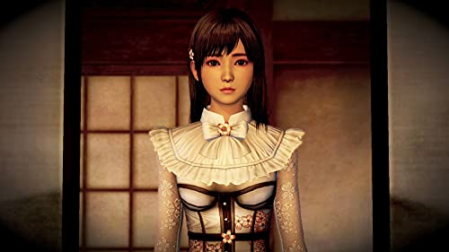 Koei Tecmo Games Project Zero : Nuregarasu No Miko For Sony Playstation Ps4 - New Japan Figure 4988615163678 1