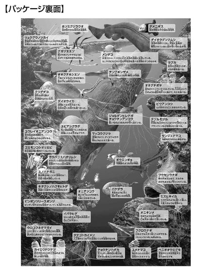 BEVERLY L74-191 Jigsaw Puzzle Creatures Of The Deep Sea In Japanese 150 L-Pieces- Japan Figure Store - #1 Bring To You The Best Japanese Goods