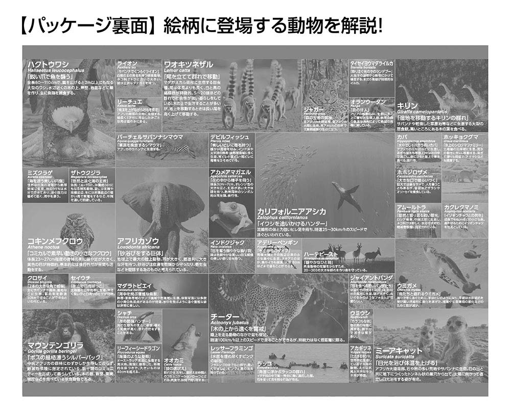 Beverly 83-097 Jigsaw Puzzle Life Of Animals (300 Pieces) Animal Paper Puzzle- Japan Figure Store - #1 Bring To You The Best Japanese Goods