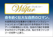 BEVERLY Jigsaw Puzzle 66-116 Wilfar White Owl Of Happiness 600 Pieces- Japan Figure Store - #1 Bring To You The Best Japanese Goods