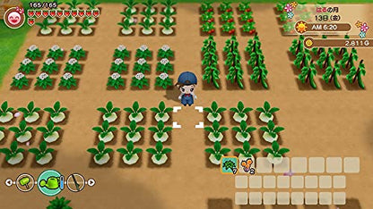 Marvelous Bokujou Monogatari Saikai Mineral Town For Sony Playstation Ps4 - New Japan Figure 4535506303295 2