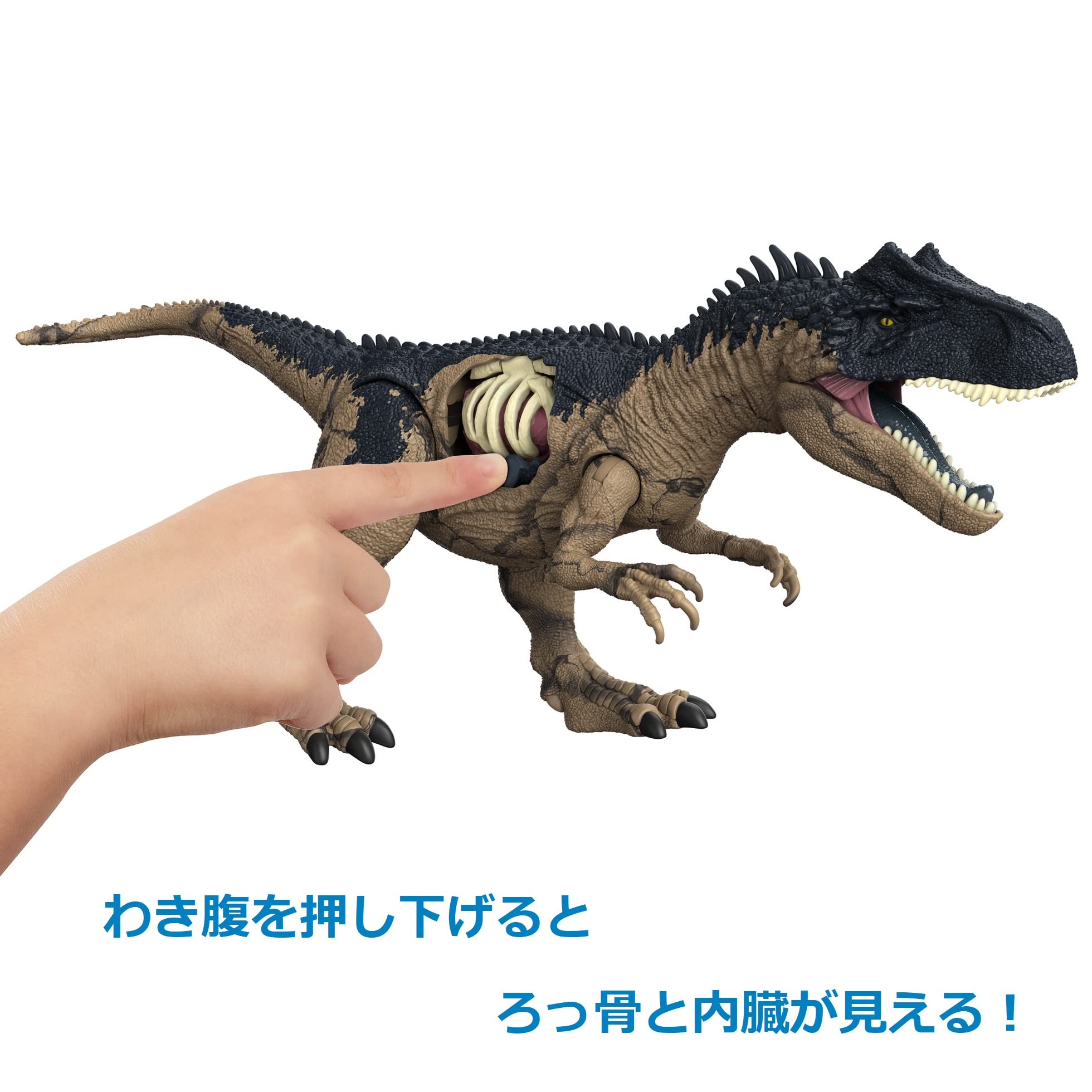 Matel Jurassic World Hfk06 New Ruler Damage Beige Japanese Action Figures Dinosaur Models- Japan Figure Store - #1 Bring To You The Best Japanese Goods