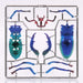 Mic Dream Stag Beetle Sapphire Painted Plastic Kit- Japan Figure Store - #1 Bring To You The Best Japanese Goods