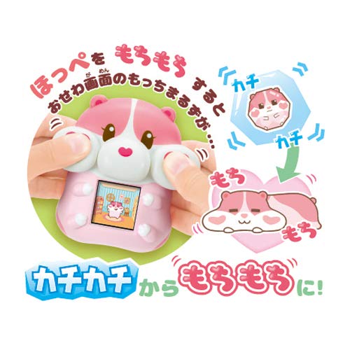Sega Toys Motchimaruzu Berry 92 x 95 x 55 Japanese Cute Squishy Toys For Kids- Japan Figure Store - #1 Bring To You The Best Japanese Goods