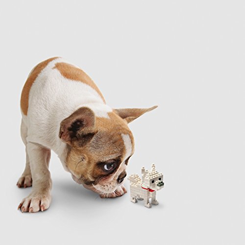 KAWADA Nbc-005 Nanoblock Hokkaido Dog- Japan Figure Store - #1 Bring To You The Best Japanese Goods