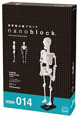 Nanoblock Human Skeleton Nbm014- Japan Figure Store - #1 Bring To You The Best Japanese Goods