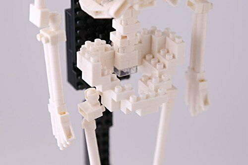 Nanoblock Human Skeleton Nbm014- Japan Figure Store - #1 Bring To You The Best Japanese Goods